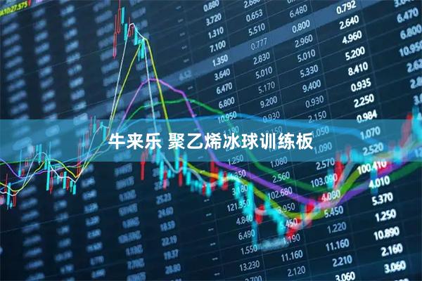 牛来乐 聚乙烯冰球训练板