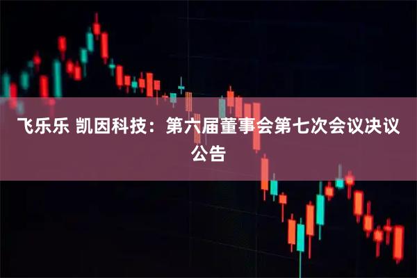 飞乐乐 凯因科技：第六届董事会第七次会议决议公告