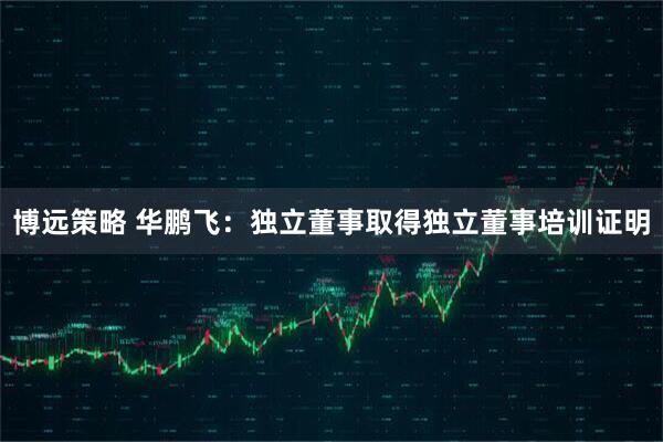 博远策略 华鹏飞：独立董事取得独立董事培训证明