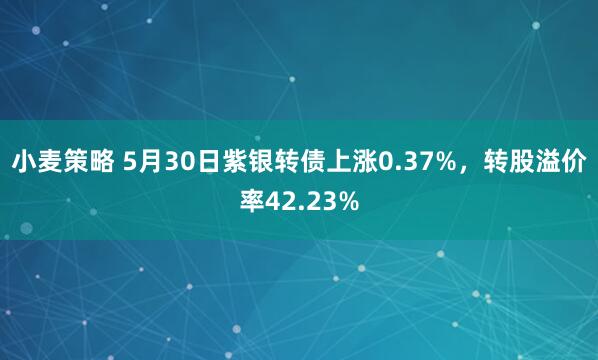 小麦策略 5月30日紫银转债上涨0.37%，转股溢价率42.23%