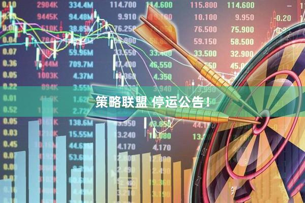 策略联盟 停运公告！