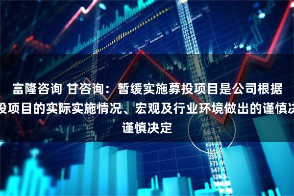 富隆咨询 甘咨询：暂缓实施募投项目是公司根据募投项目的实际实施情况、宏观及行业环境做出的谨慎决定